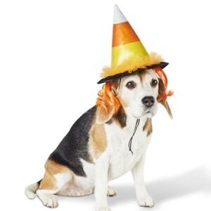 Hyde & EEK! Boutique Candy Corn Witch Hat Dog or Cat Halloween Costume